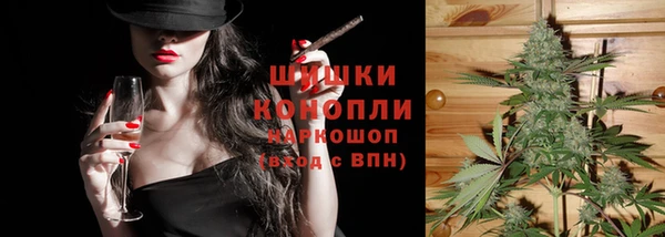 индика Алзамай
