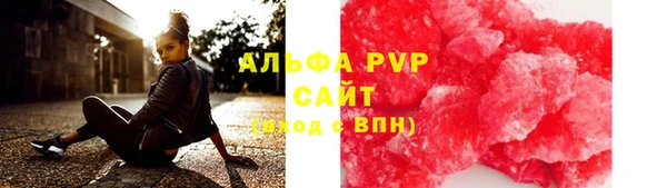 индика Алексин