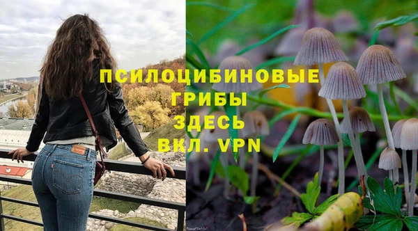 индика Алзамай