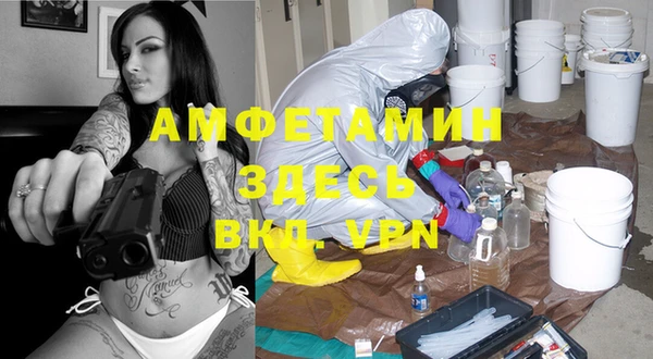 индика Алзамай