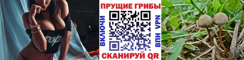 Галлюциногенные грибы MAGIC MUSHROOMS  Сатка 